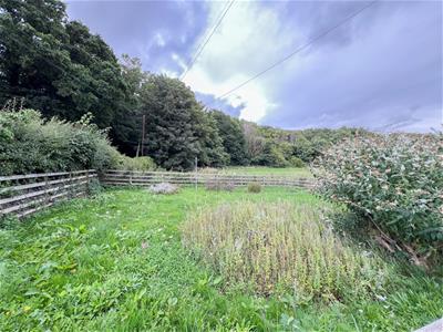 Picture 14